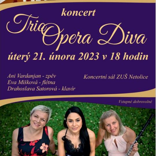 Koncert Trio Opera Diva