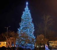 Hlasování o nejhezčí vánoční strom  1