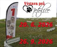 Klubová výstava psů 1