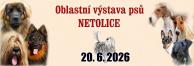Oblastní výstava psů 2